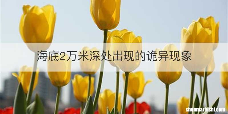 海底2万米深处出现的诡异现象