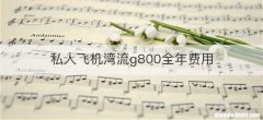 私人飞机湾流g800全年费用