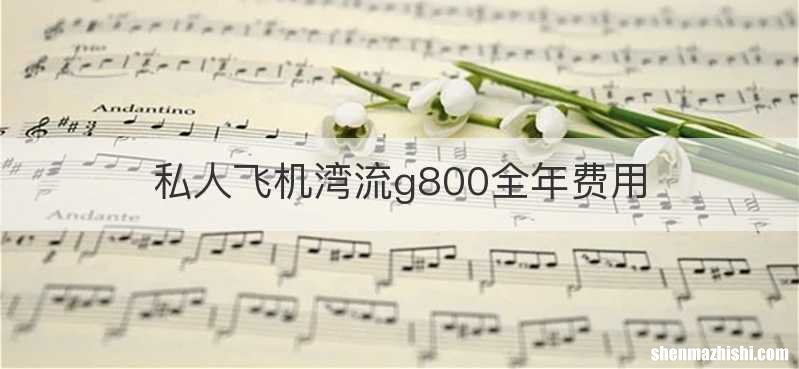 私人飞机湾流g800全年费用