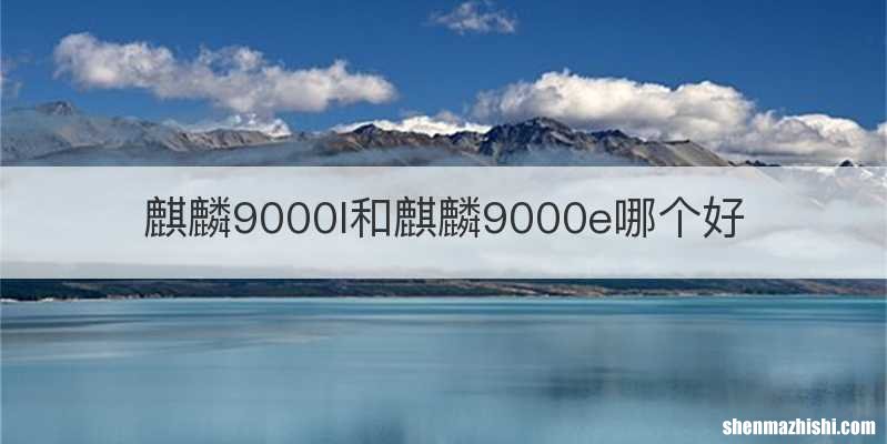 麒麟9000l和麒麟9000e哪个好