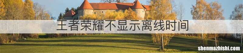 王者荣耀不显示离线时间