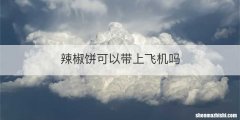 辣椒饼可以带上飞机吗