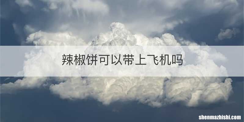 辣椒饼可以带上飞机吗