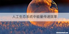 人工生态系统中能量传递效率