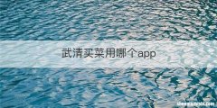 武清买菜用哪个app