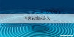辛夷花能放多久