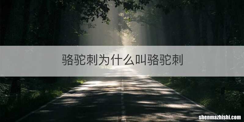 骆驼刺为什么叫骆驼刺