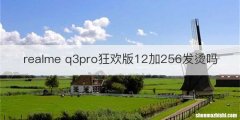 realme q3pro狂欢版12加256发烫吗
