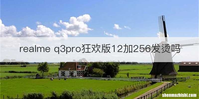 realme q3pro狂欢版12加256发烫吗