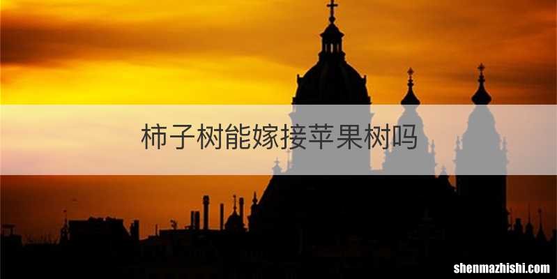 柿子树能嫁接苹果树吗