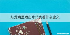 从龙嘴里喷出水代表着什么含义