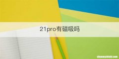 21pro有磁吸吗
