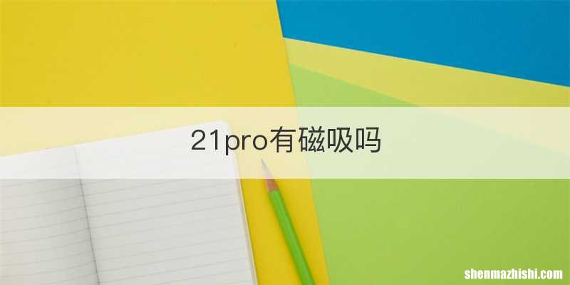 21pro有磁吸吗