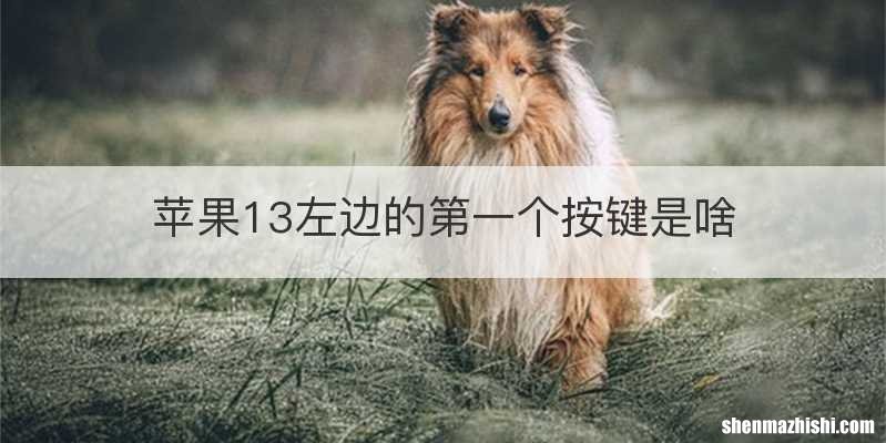 苹果13左边的第一个按键是啥
