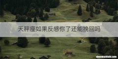 天秤座如果反感你了还能挽回吗