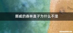 挪威的森林直子为什么不湿