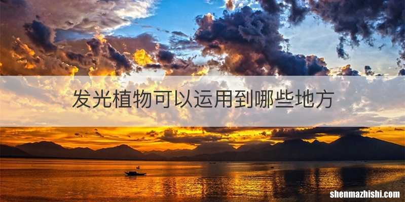 发光植物可以运用到哪些地方