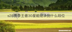 s28赛季王者30星能继承到什么段位