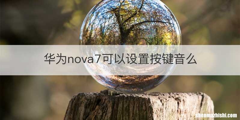 华为nova7可以设置按键音么