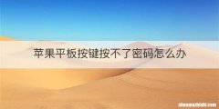 苹果平板按键按不了密码怎么办