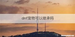 dnf宠物可以继承吗