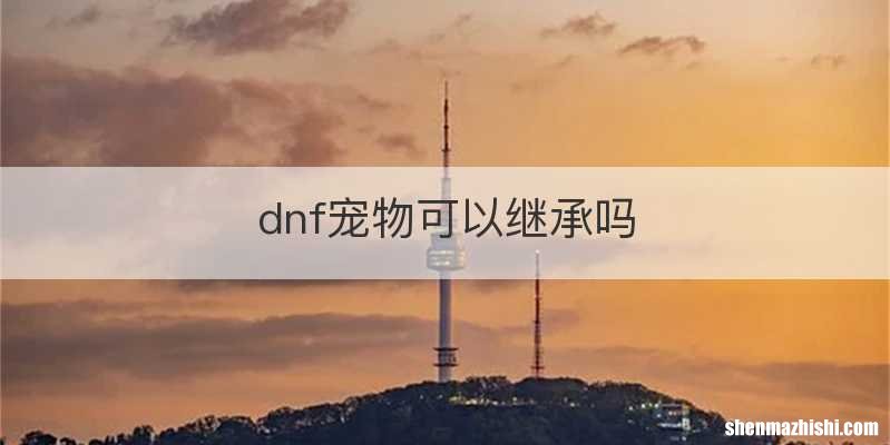 dnf宠物可以继承吗