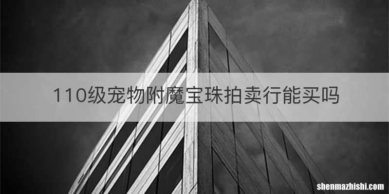 110级宠物附魔宝珠拍卖行能买吗