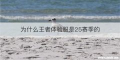 为什么王者体验服是25赛季的