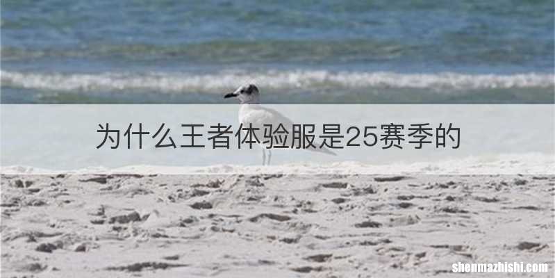 为什么王者体验服是25赛季的