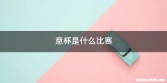 意杯是什么比赛