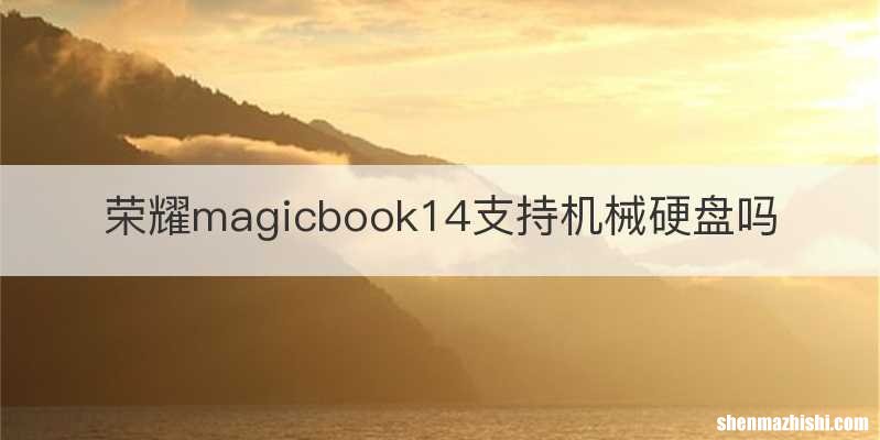 荣耀magicbook14支持机械硬盘吗