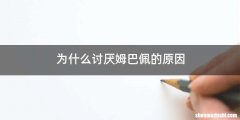 为什么讨厌姆巴佩的原因