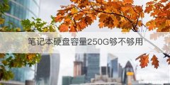 笔记本硬盘容量250G够不够用