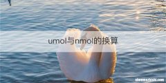 umol与nmol的换算