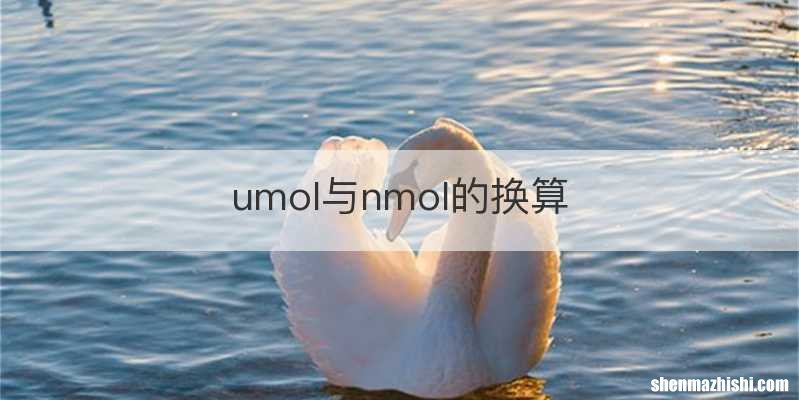 umol与nmol的换算