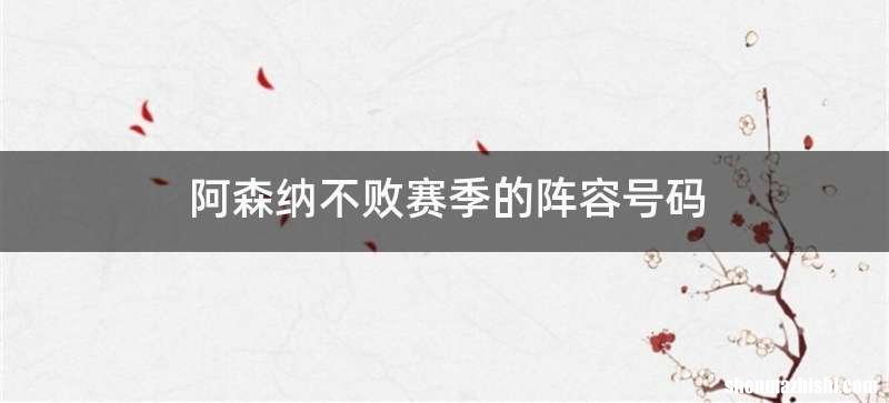 阿森纳不败赛季的阵容号码