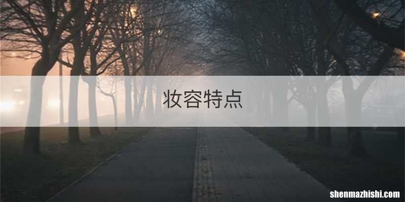 妆容特点