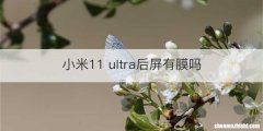 小米11 ultra后屏有膜吗
