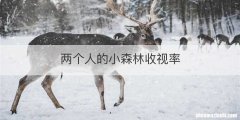 两个人的小森林收视率