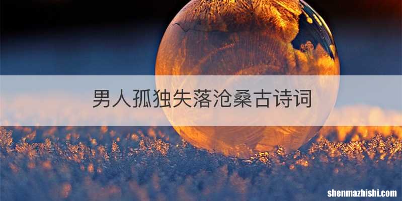 男人孤独失落沧桑古诗词