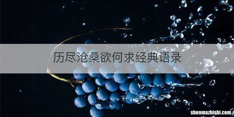 历尽沧桑欲何求经典语录