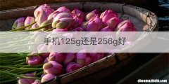 手机125g还是256g好