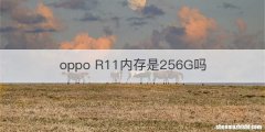 oppo R11内存是256G吗
