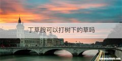 丁草胺可以打树下的草吗
