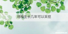 地榆生长几年可以采挖