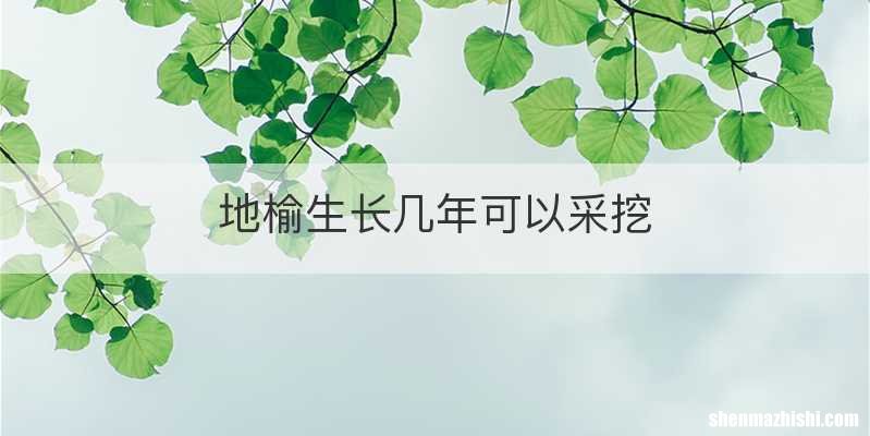 地榆生长几年可以采挖