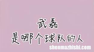 武磊是哪个球队