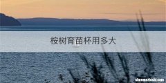 桉树育苗杯用多大