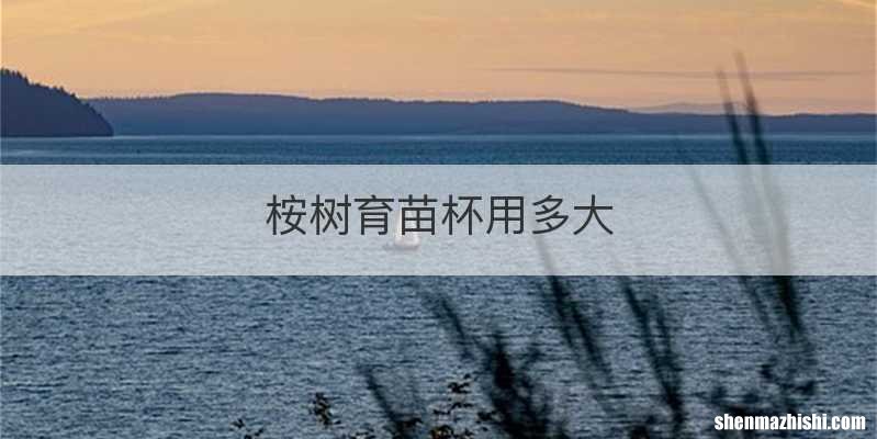桉树育苗杯用多大