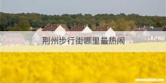 荆州步行街哪里最热闹